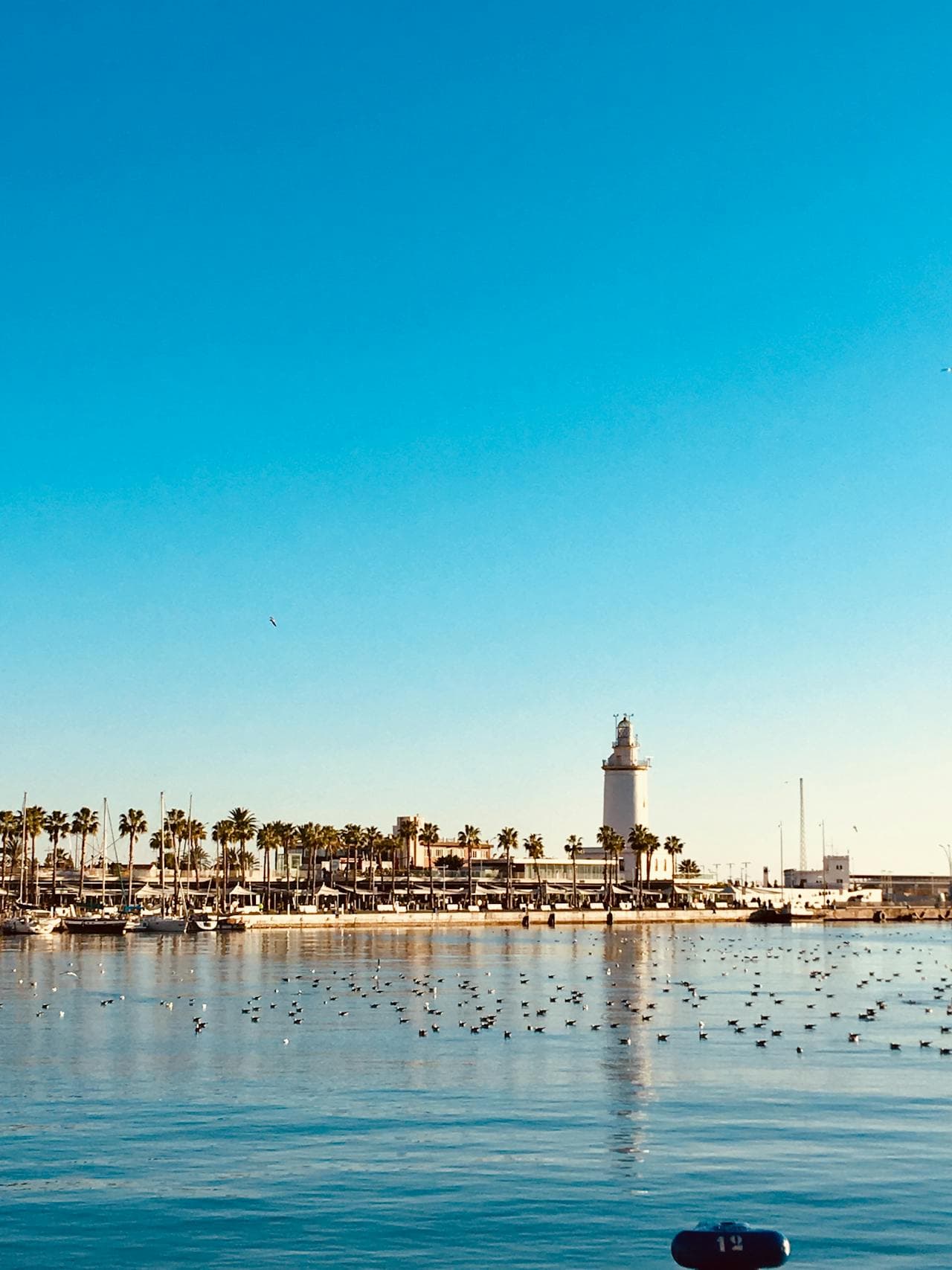 Haven van Málaga met vuurtoren en palmbomen