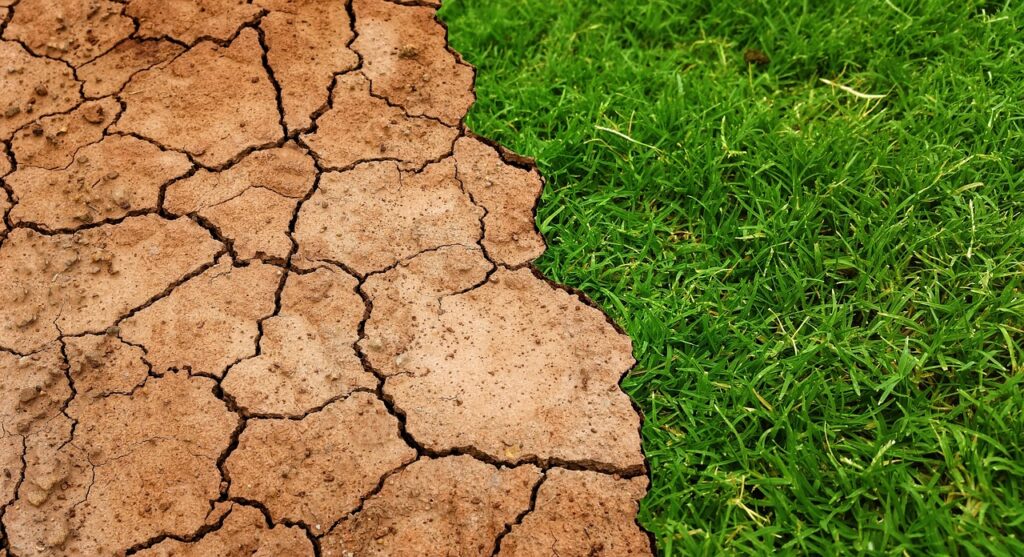 Nieuw steunpakket tegen droogte.